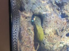 -福州罗源湾海洋世界旅游区