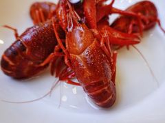 -玫瑰厅上海菜(兴国路店)