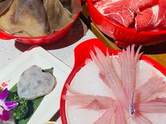 -大龙燚·旷野鲜火锅(广州首店)