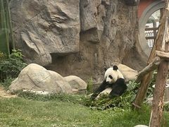 -香港海洋公园