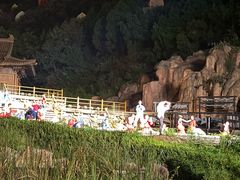 -禅宗少林·音乐大典