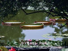 -国家植物园南园