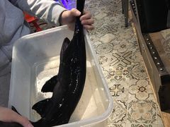 -鱼豆吉·豆浆鱼火锅(宜昌万达店)