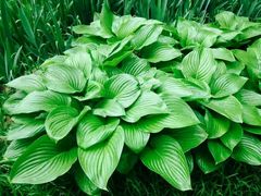 android_upload_pic-南馆公园