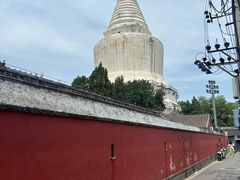 -杏园餐厅(阜成门店)