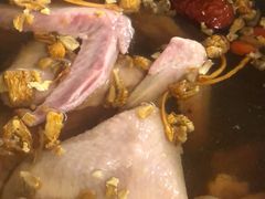 -百利鸽王(紫薇路店)