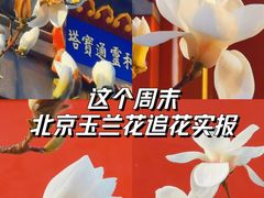 -妙应寺白塔
