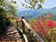 -木兰云雾山