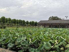 -千龙湖生态旅游度假区