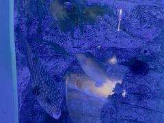 -欢乐海岸海洋奇梦馆