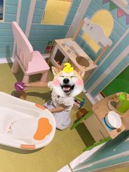 -幻贝家儿童乐园(温州银泰城店)