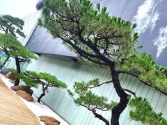 -罗红摄影艺术馆