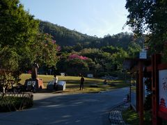 -火炉山森林公园