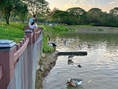 -顺峰山公园