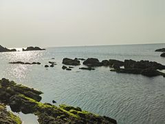 -养马岛旅游度假区