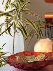 -WENDY·温迪皮肤管理