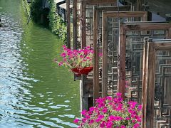 -乌镇东栅景区