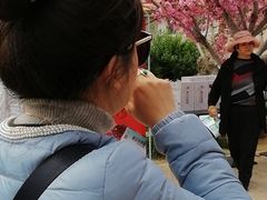 -莱阳濯村樱花园