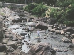 -北仑森林植物园