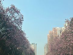 -sugarman espresso素饮糖人高新咖啡工厂