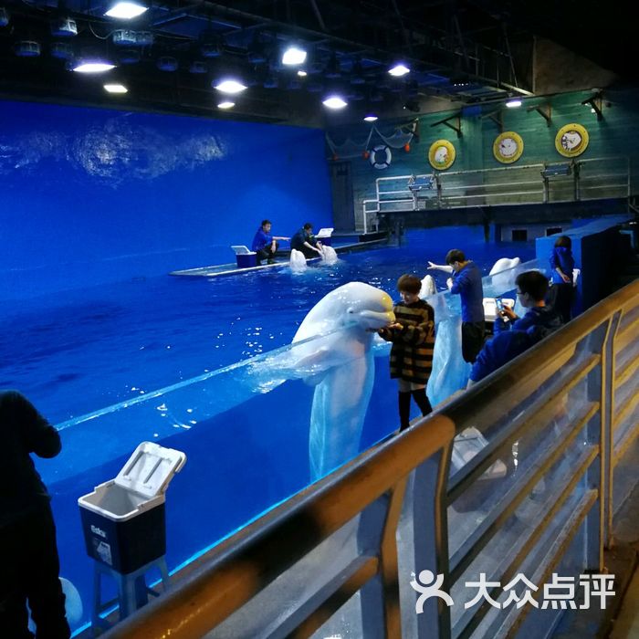 天津海昌极地海洋公园图片-北京海洋馆-大众点评网