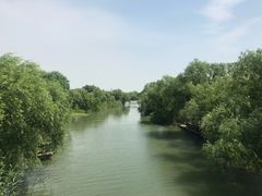 -长兴太湖图影湿地文化园