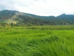 -泸沽湖国家级风景名胜区走婚桥