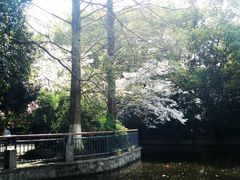 -赭山公园