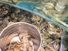-四海蒸鲜蒸汽海鲜自助(北戴河店)