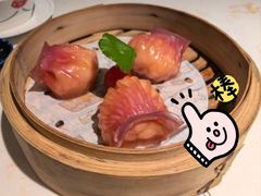-点都德·毕德寮