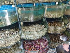 -仙螺岛海鲜自助餐厅(总店)