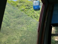 -王顺山国家森林公园