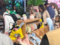 -凯德MALL(西直门店)