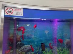 -雅悦齿科(顾村公园店)