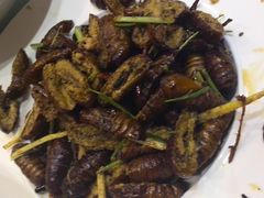 干煸茧蛹-品味居·首店·大连鲜活海鲜大连菜(东港店)