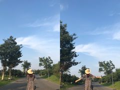 -瑶湖郊野森林公园