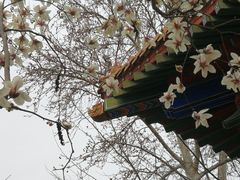 -终南山古楼观历史文化景区