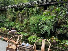 -青城甲(青城山店)