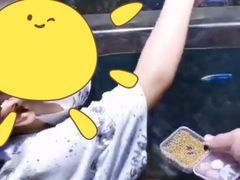 -江和美海洋公园