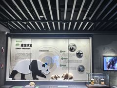 -四川大学博物馆
