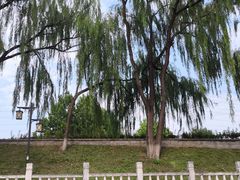 -皇家御河游(紫御湾码头)