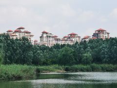 -马家湾湿地公园