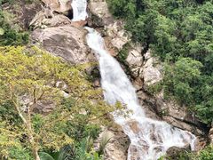 -海南热带雨林国家公园吊罗山景区