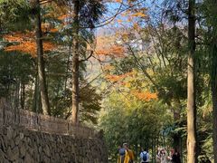 -莫干山风景区