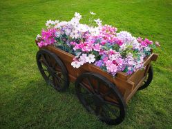 -圣露庄园·草坪婚礼·宴会厅·会议