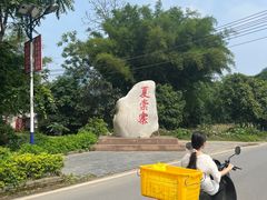 -村上春树