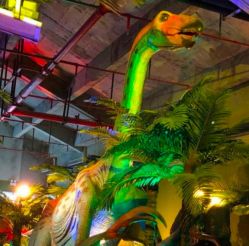-恐龙探索乐园(磁器口店)