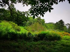 -国家植物园南园