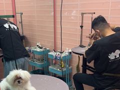 -FAELING PETS美天灵宠物(合生汇店)
