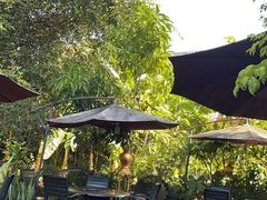 -品德宏·孔雀宴的发源地(金塔园店)